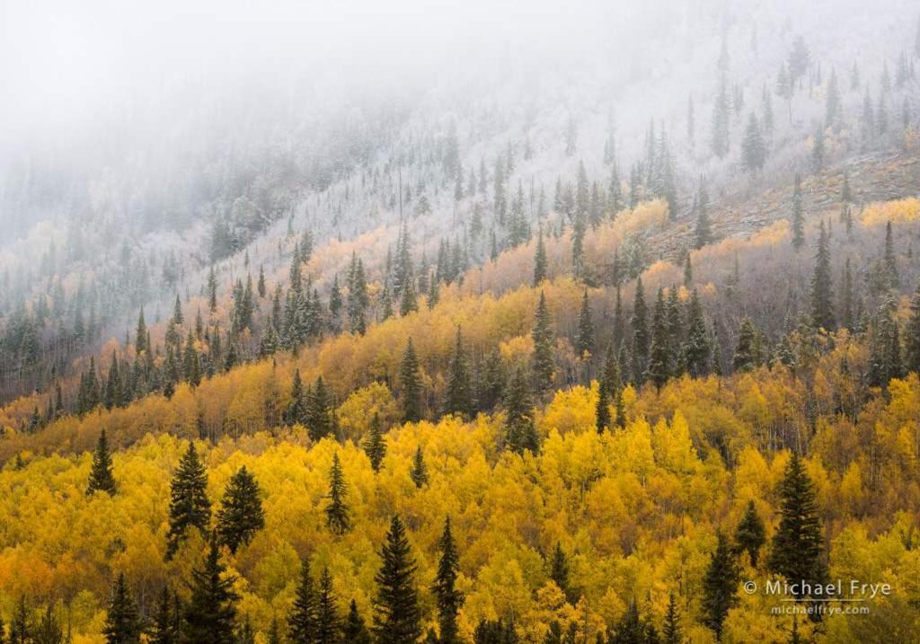 New Listing 2Br 2Ba Condo - Mountain Views Aspen Dış mekan fotoğraf