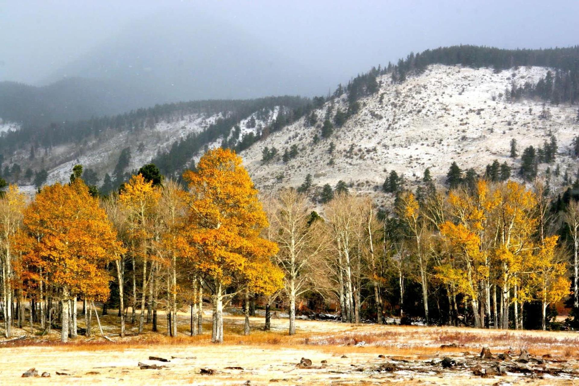 New Listing 2Br 2Ba Condo - Mountain Views Aspen Dış mekan fotoğraf